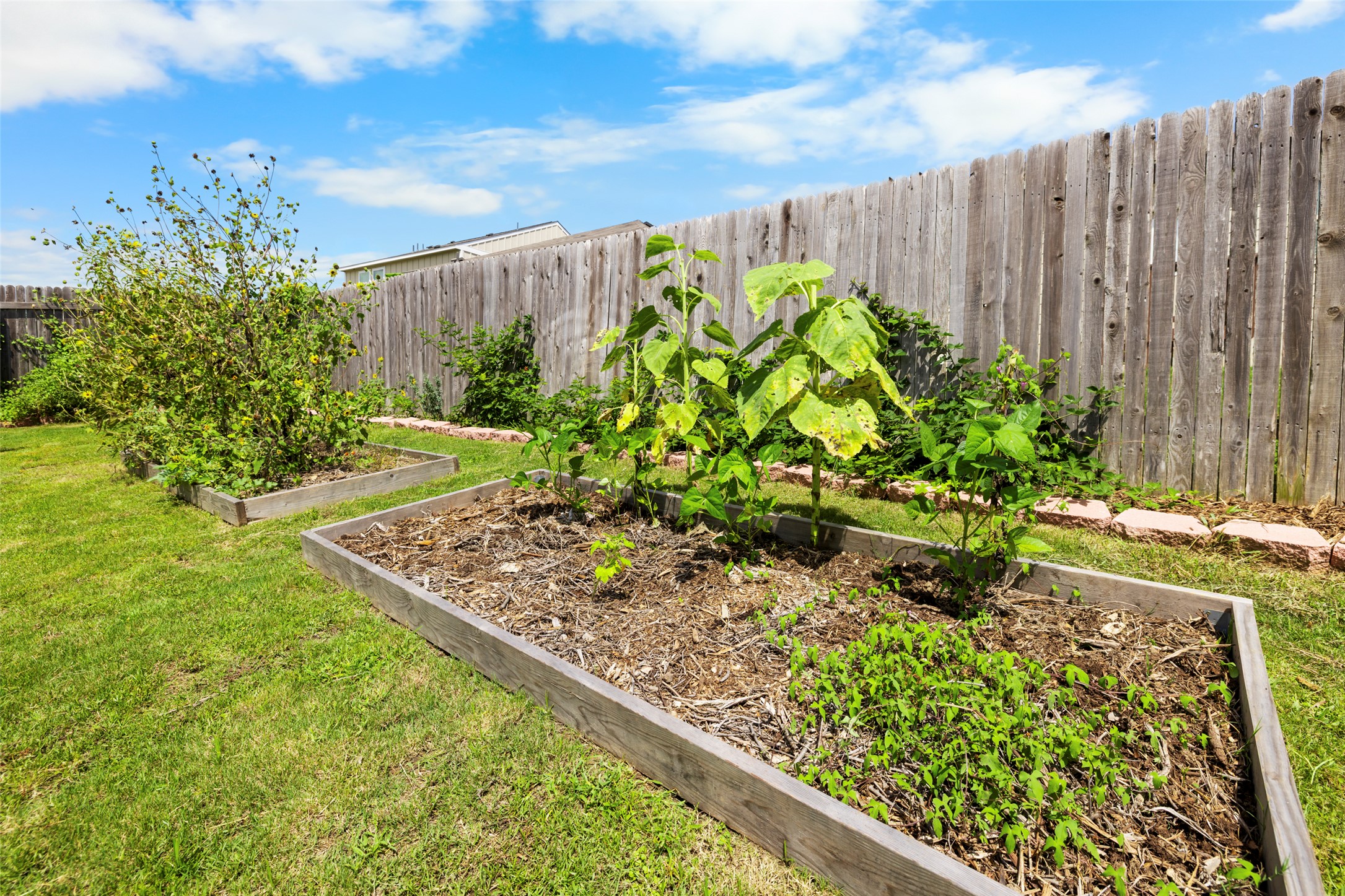13113 Titanium Street Austin, TX 78754 - Photo 27 of 39 Raised beds as well!