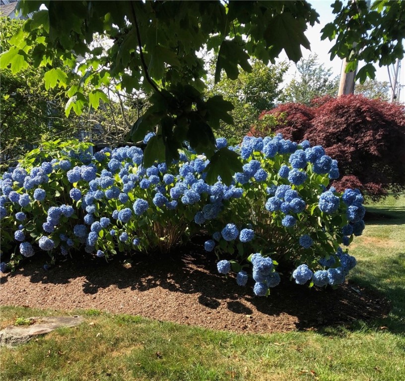 611 Wolcott Avenue Middletown, RI 02842 - Photo 26 of 31