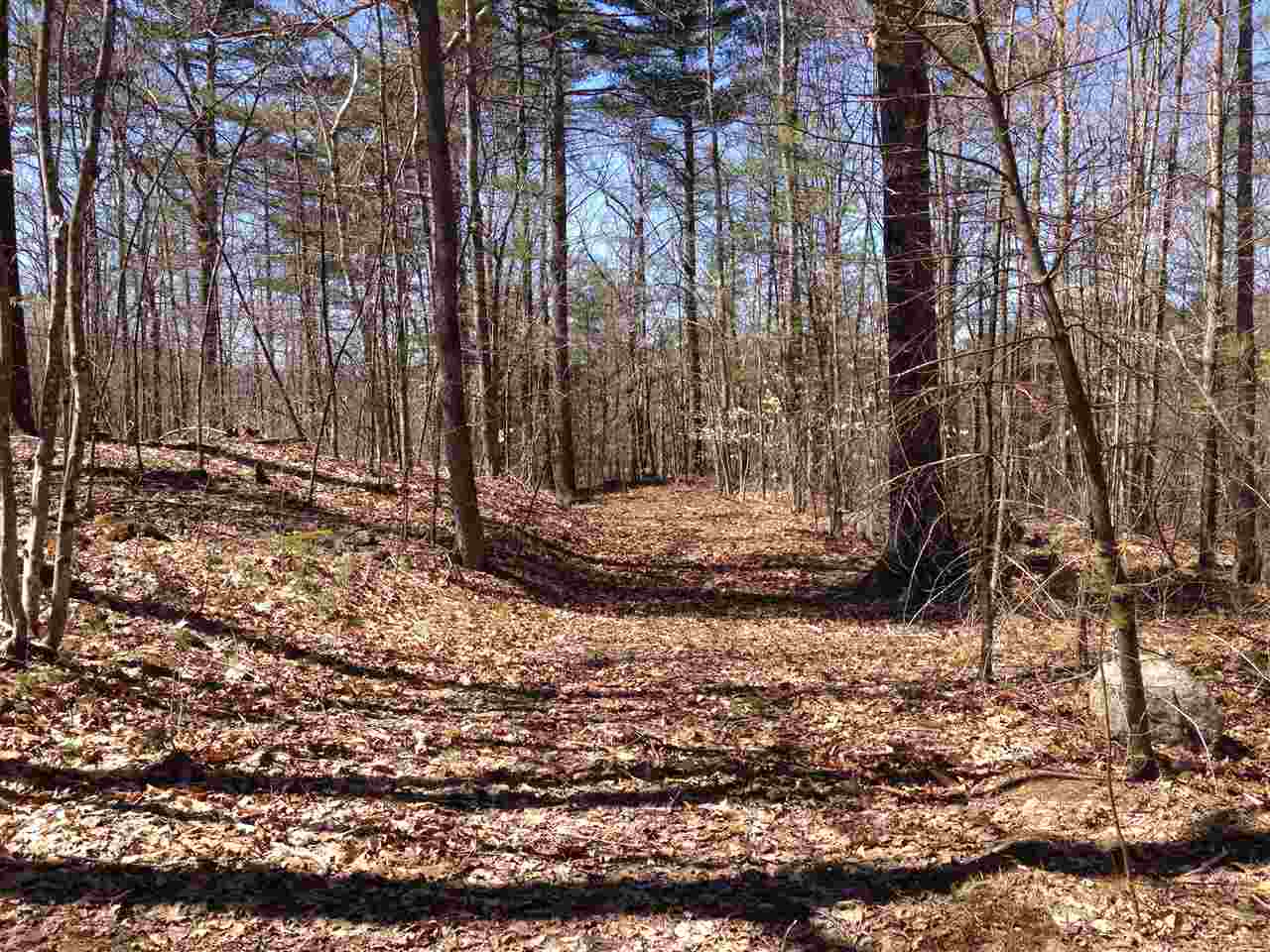 Lot 28 Middleton Road New Durham, NH 03855 - Photo 5 of 7