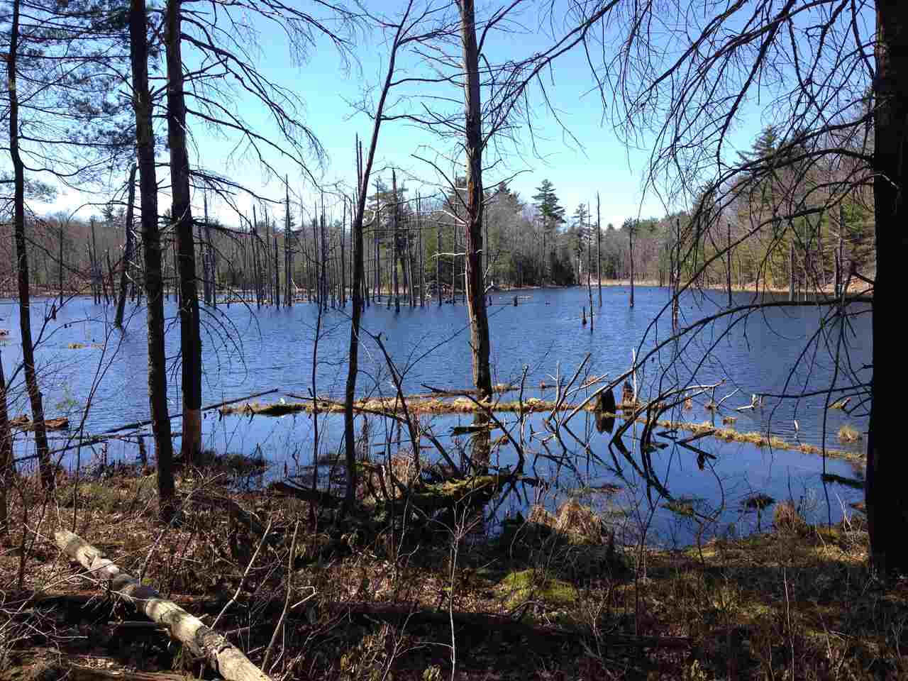Lot 28 Middleton Road New Durham, NH 03855 - Photo 7 of 7