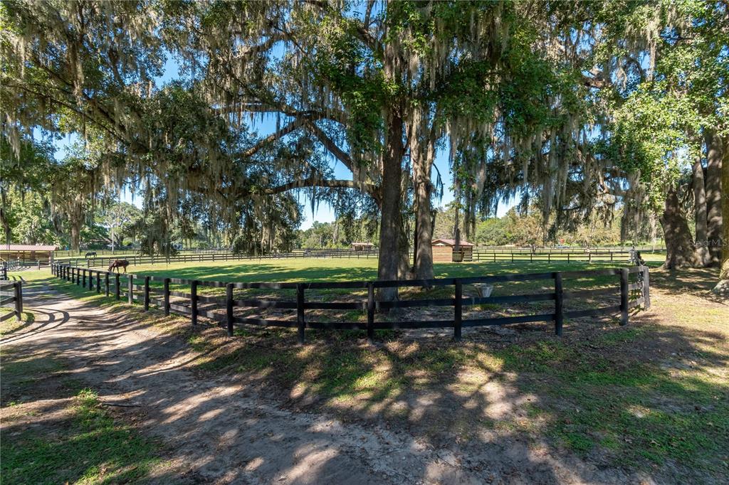 8820 Northwest 130th Street Reddick, FL 32686 - Photo 47 of 67 a view of park benches sitting below a tree