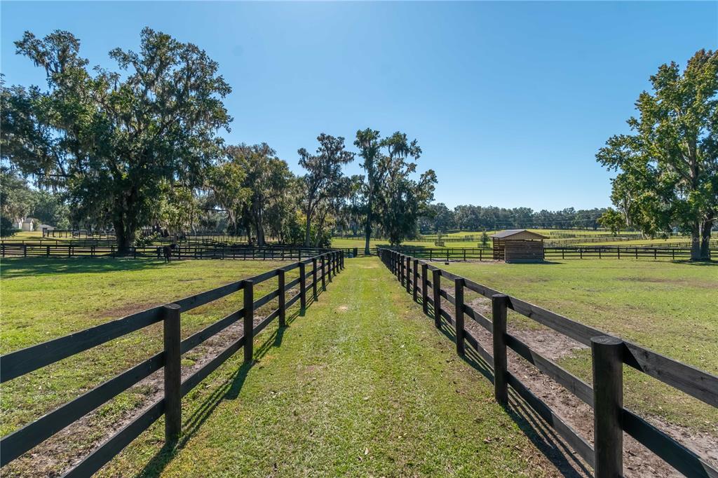 8820 Northwest 130th Street Reddick, FL 32686 - Photo 51 of 67