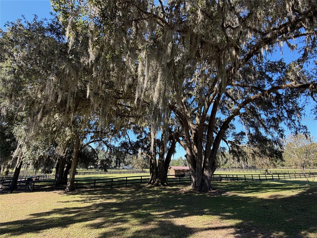 8820 Northwest 130th Street Reddick, FL 32686 - Photo 63 of 67