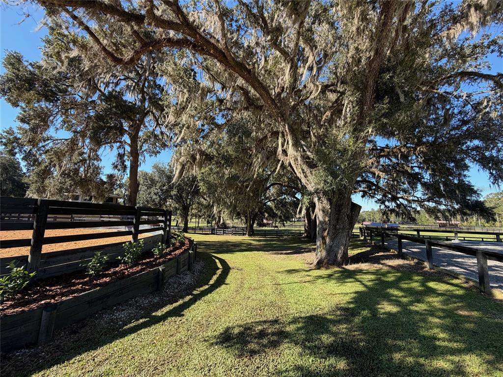 8820 Northwest 130th Street Reddick, FL 32686 - Photo 64 of 67