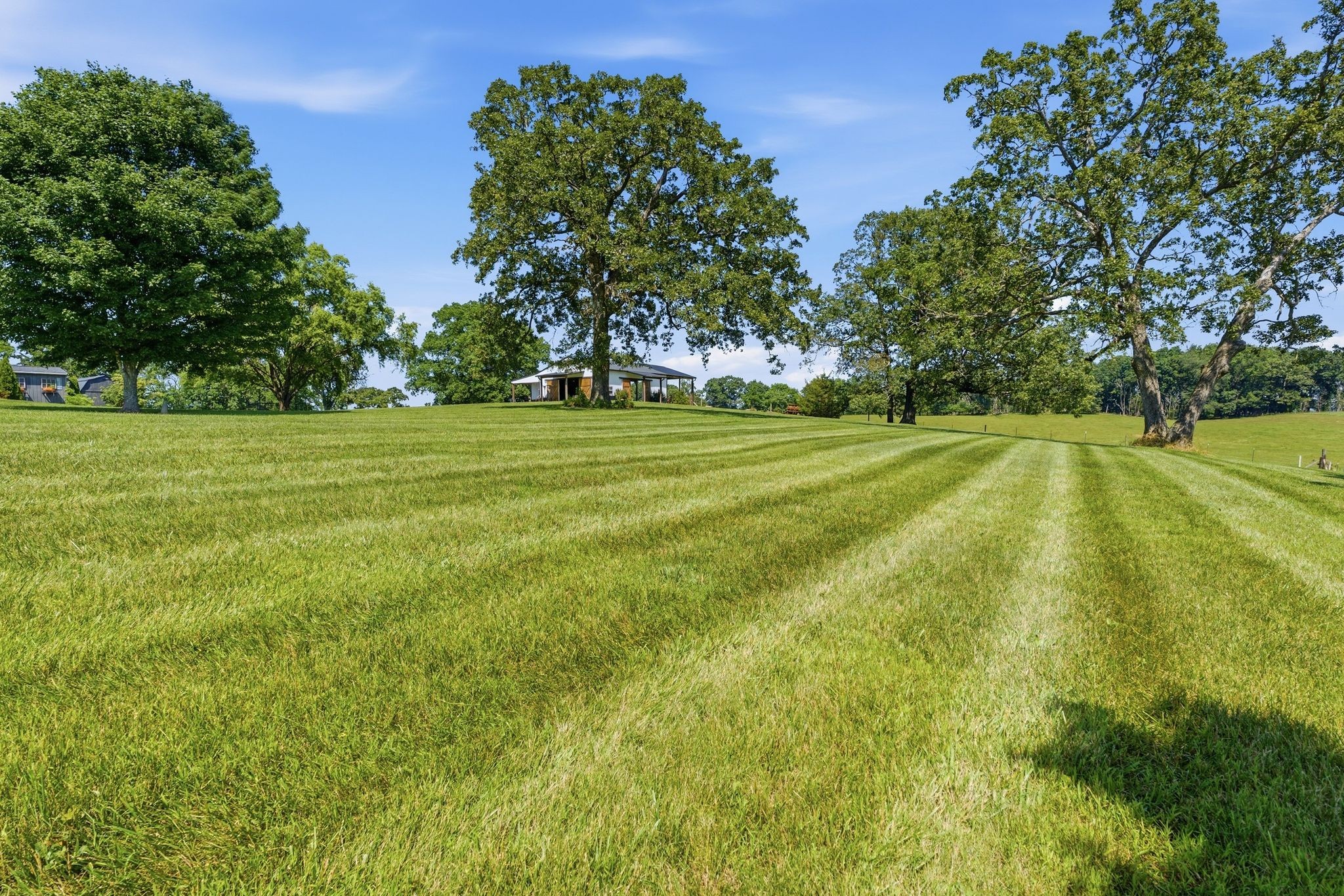 5017 Somerville Road Cross Plains, TN 37049 - Photo 57 of 72