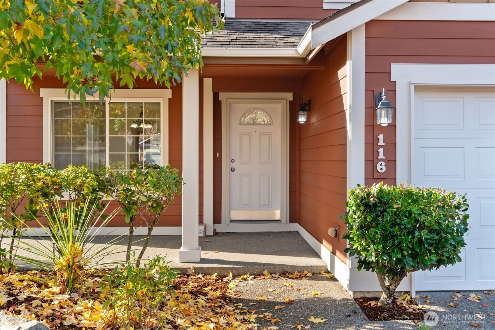a potted plant sitting in front of a house