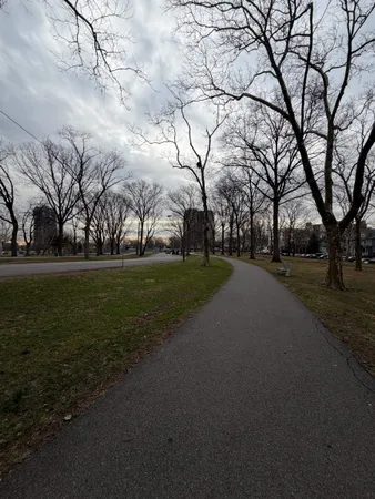 a view of road with trees