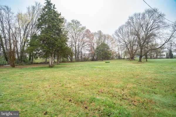 a view of a field with trees