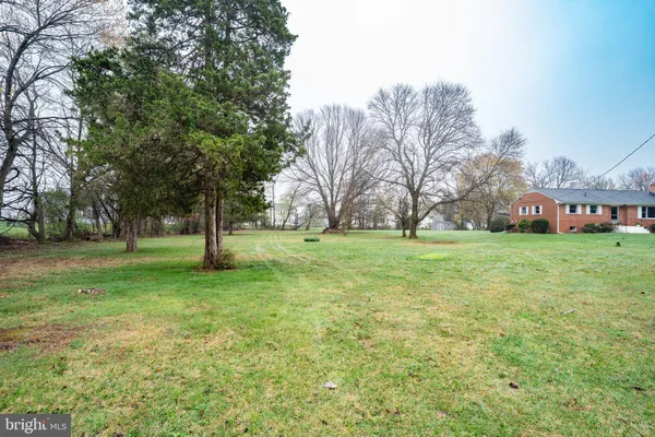a view of green field with trees