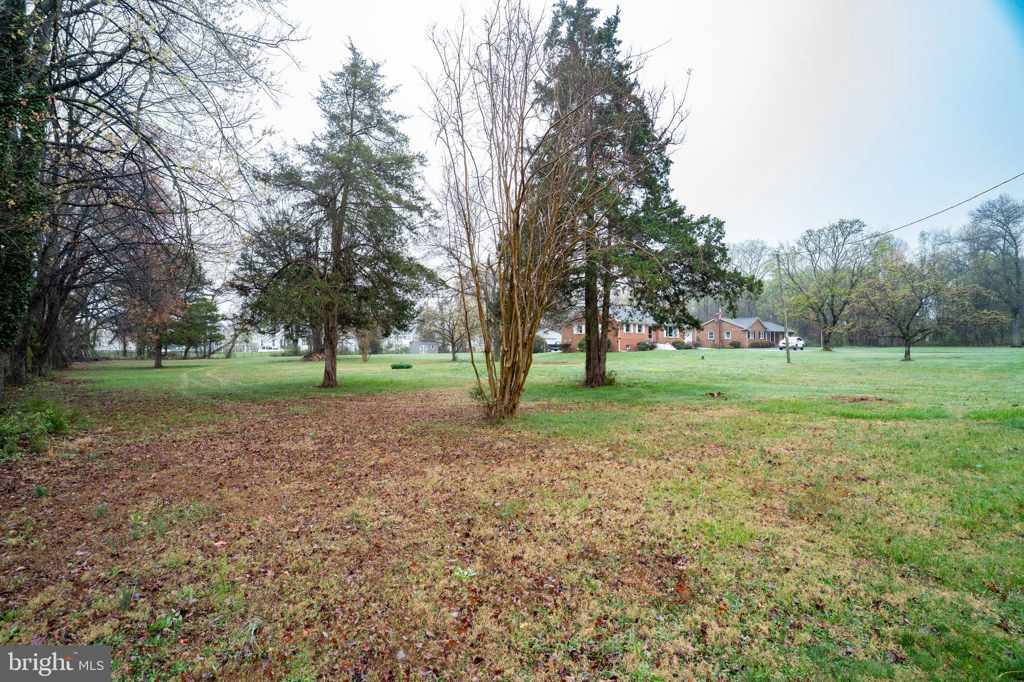 South King Street Leesburg, VA 20175 - Photo 4 of 7 a view of a tree in a park