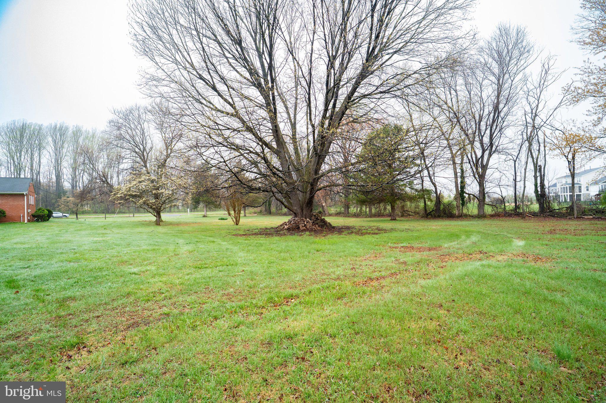 South King Street Leesburg, VA 20175 - Photo 5 of 7 a view of yard with trees