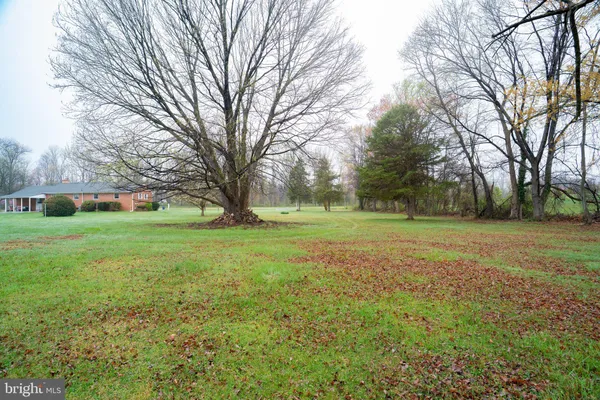 a view of a tree in front of a house