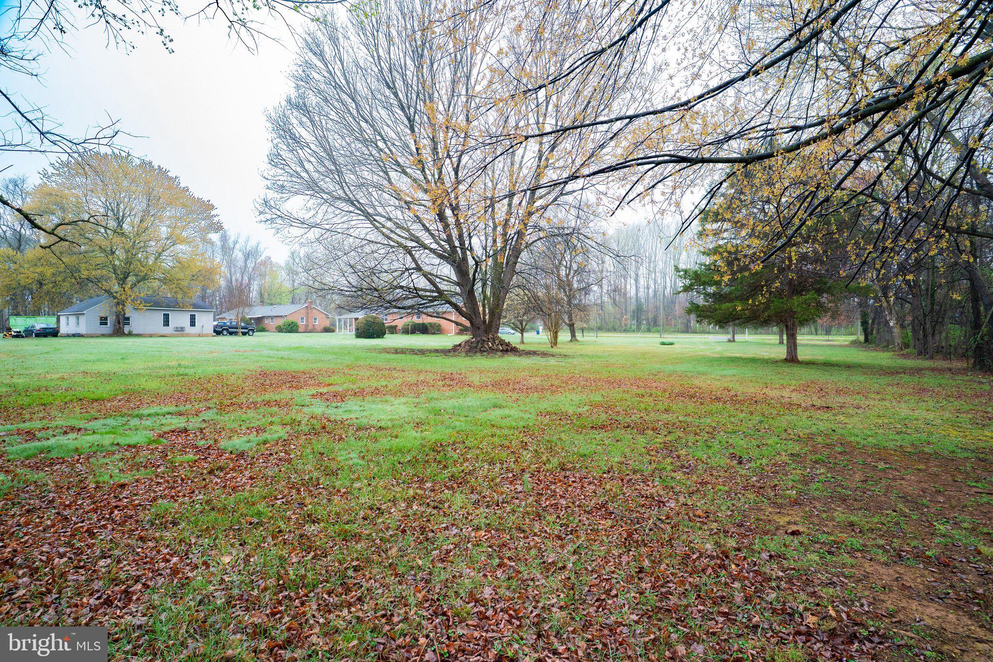 South King Street Leesburg, VA 20175 - Photo 7 of 7 a view of a park with large trees