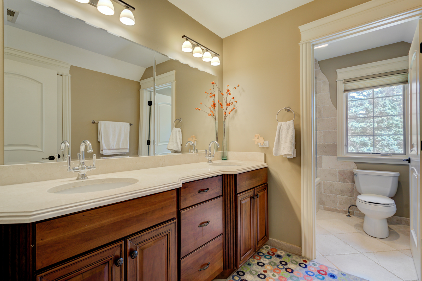 4436 Roslyn Road Downers Grove, IL 60515 - Photo 19 of 30 a bathroom with a sink a toilet and a mirror
