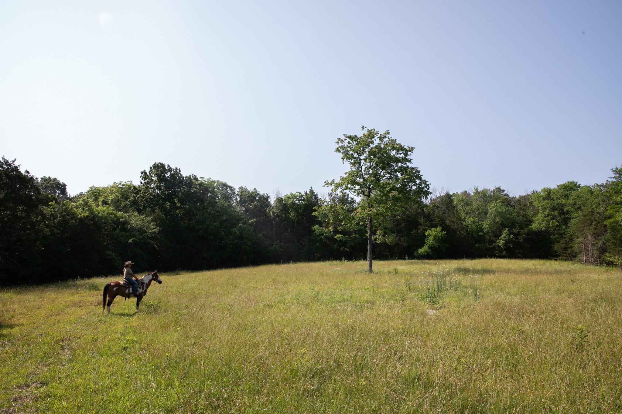 2825 Oregon Road Milton, TN 37118 - Photo 22 of 71