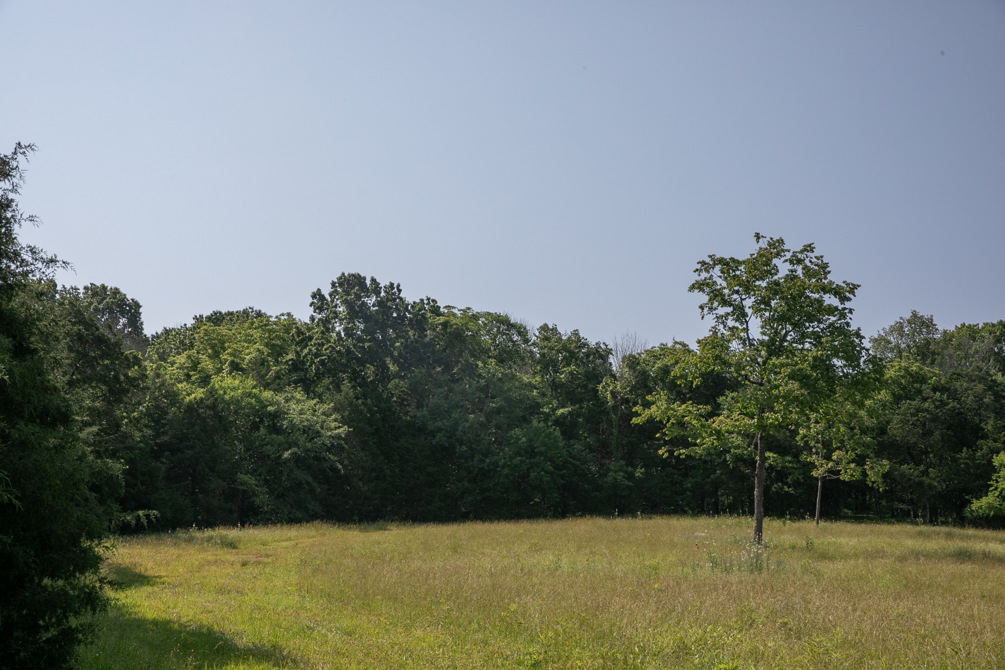 2825 Oregon Road Milton, TN 37118 - Photo 36 of 71 a view of outdoor space with swimming pool