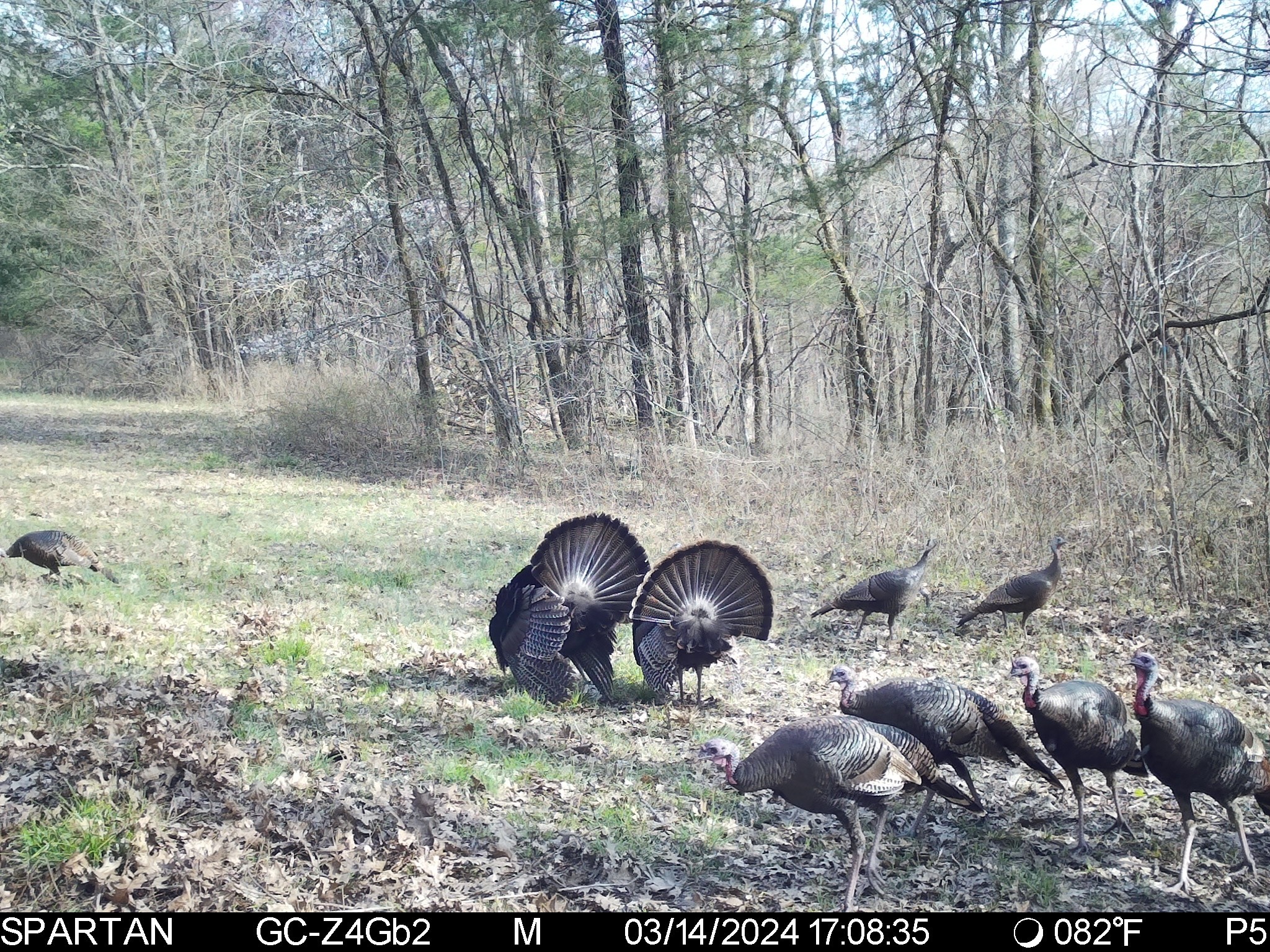 2825 Oregon Road Milton, TN 37118 - Photo 58 of 71