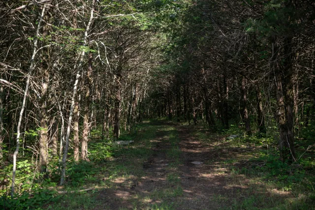 $3,990,000 | 2825 Oregon Road, Milton, TN 37118