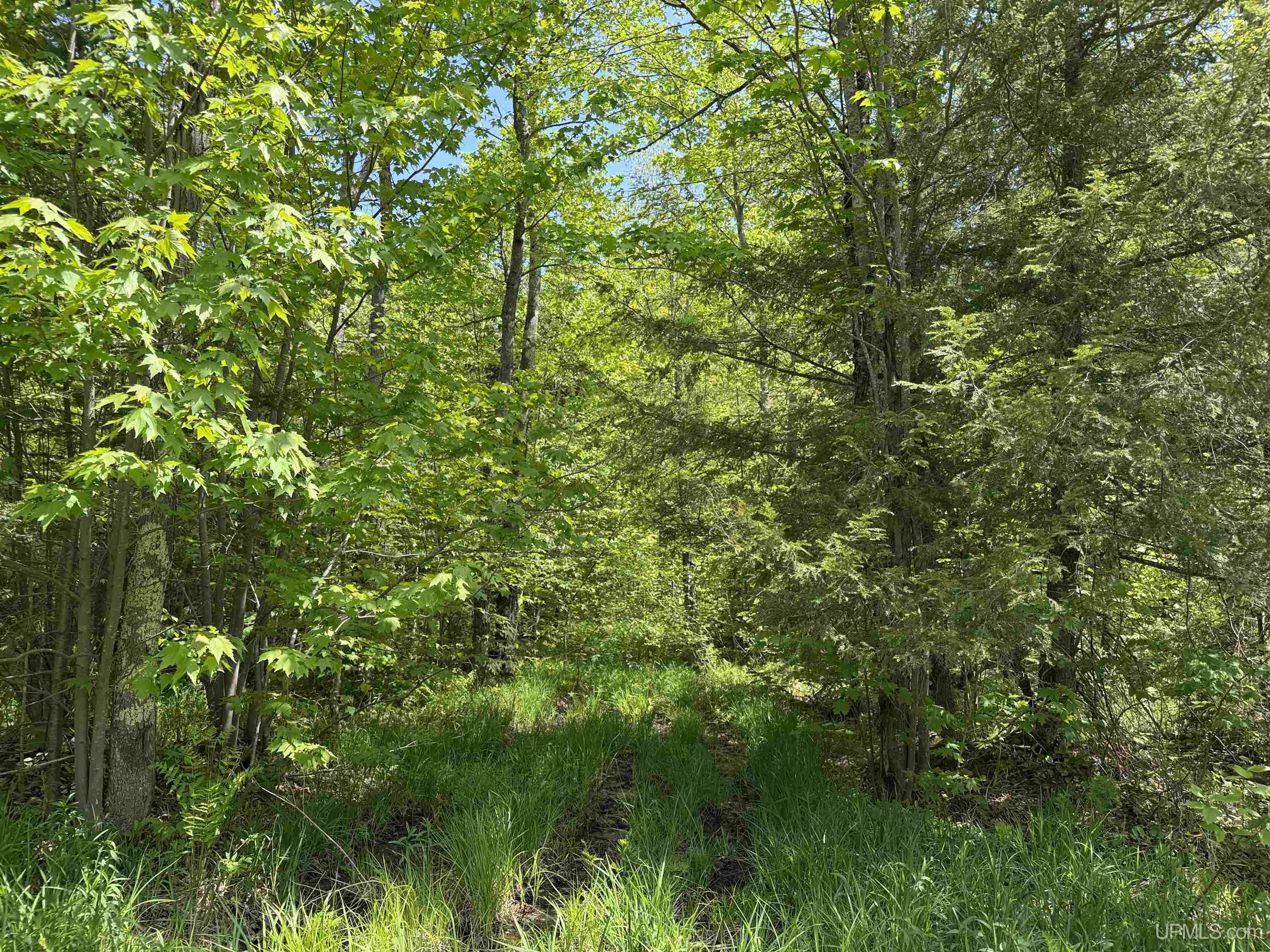Off East Lake Road Ironwood, MI 49938 - Photo 8 of 30