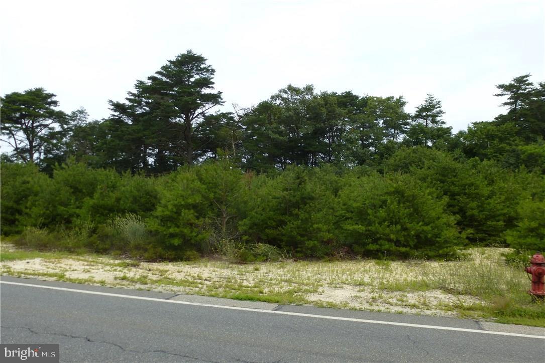 1300 Radio Road Tuckerton, NJ 08087 - Photo 3 of 5 Gallery Image 3