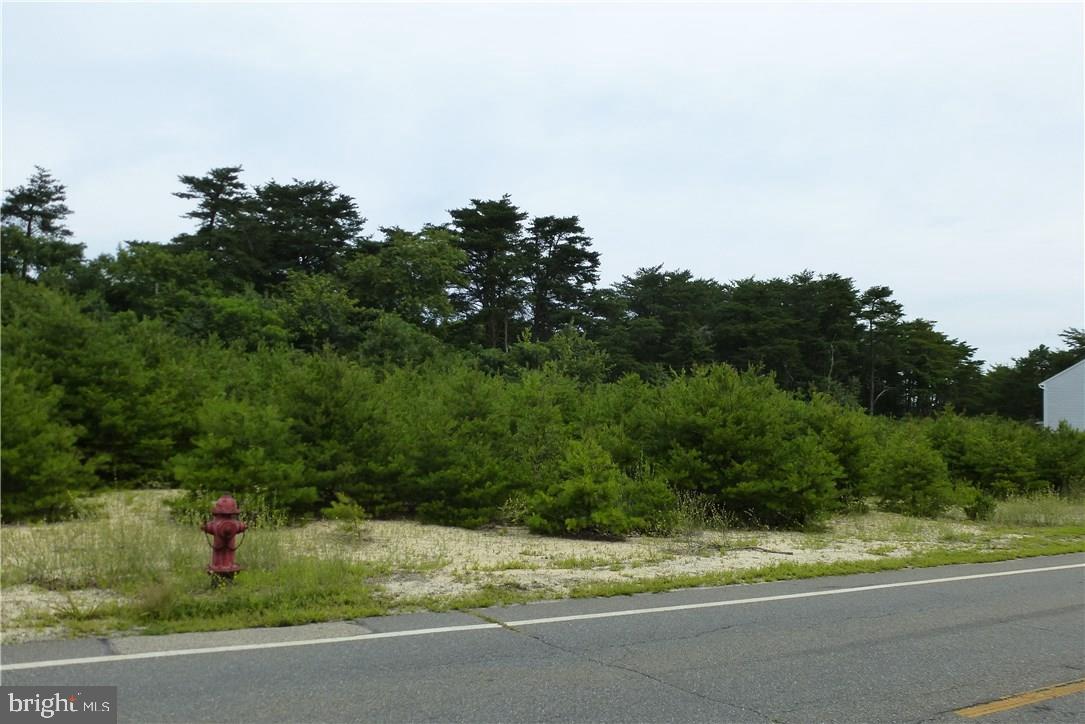 1300 Radio Road Tuckerton, NJ 08087 - Photo 4 of 5 Gallery Image 4
