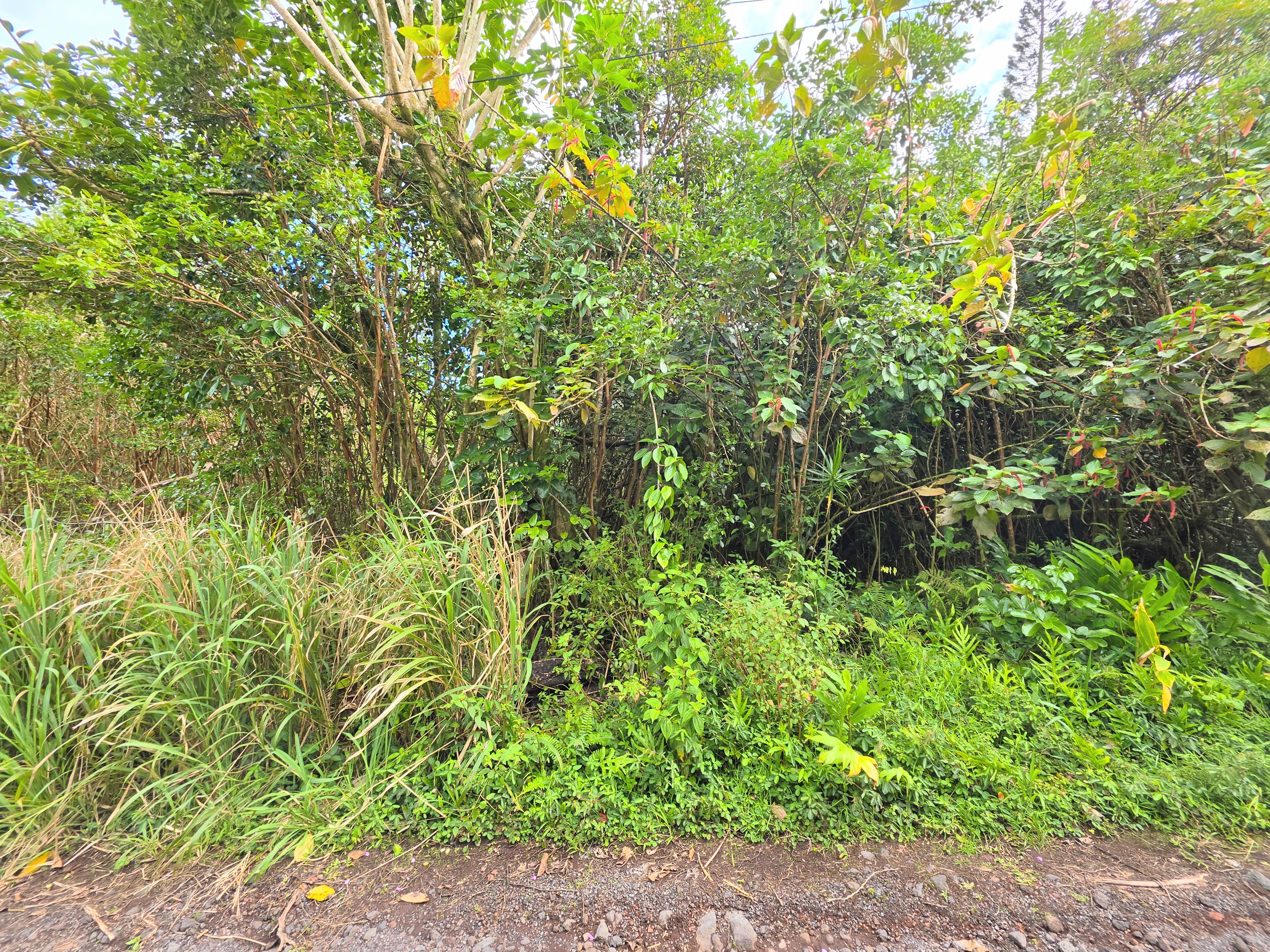172 Aloha Road Pahoa, HI 96778 - Photo 9 of 11