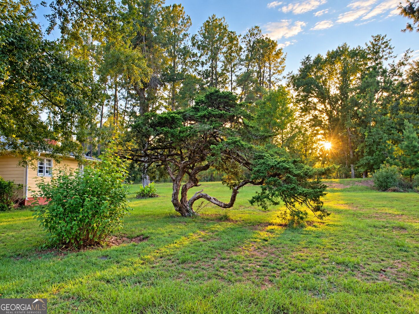 709 Bob Sharpe Road Vidalia, GA 30474 - Photo 6 of 23 Gallery Image 6