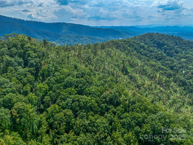 a view of a large yard with lots of green space