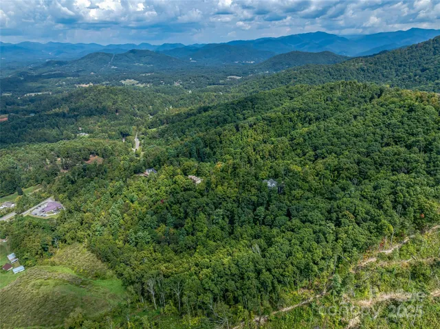 a view of a lush green forest with a mountain
