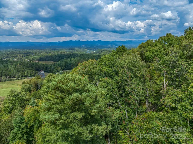 a view of a city with lush green forest