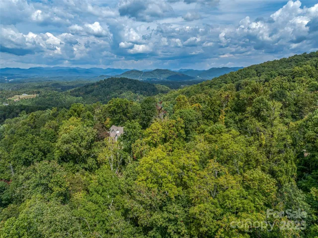 a view of a field of grass and trees