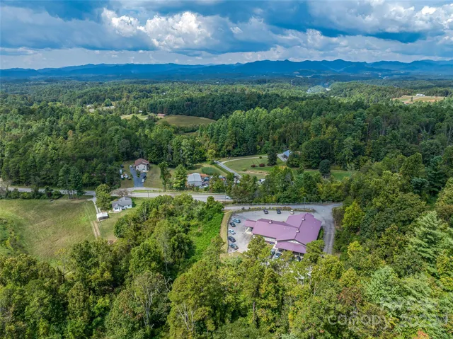 a view of a city with lush green forest