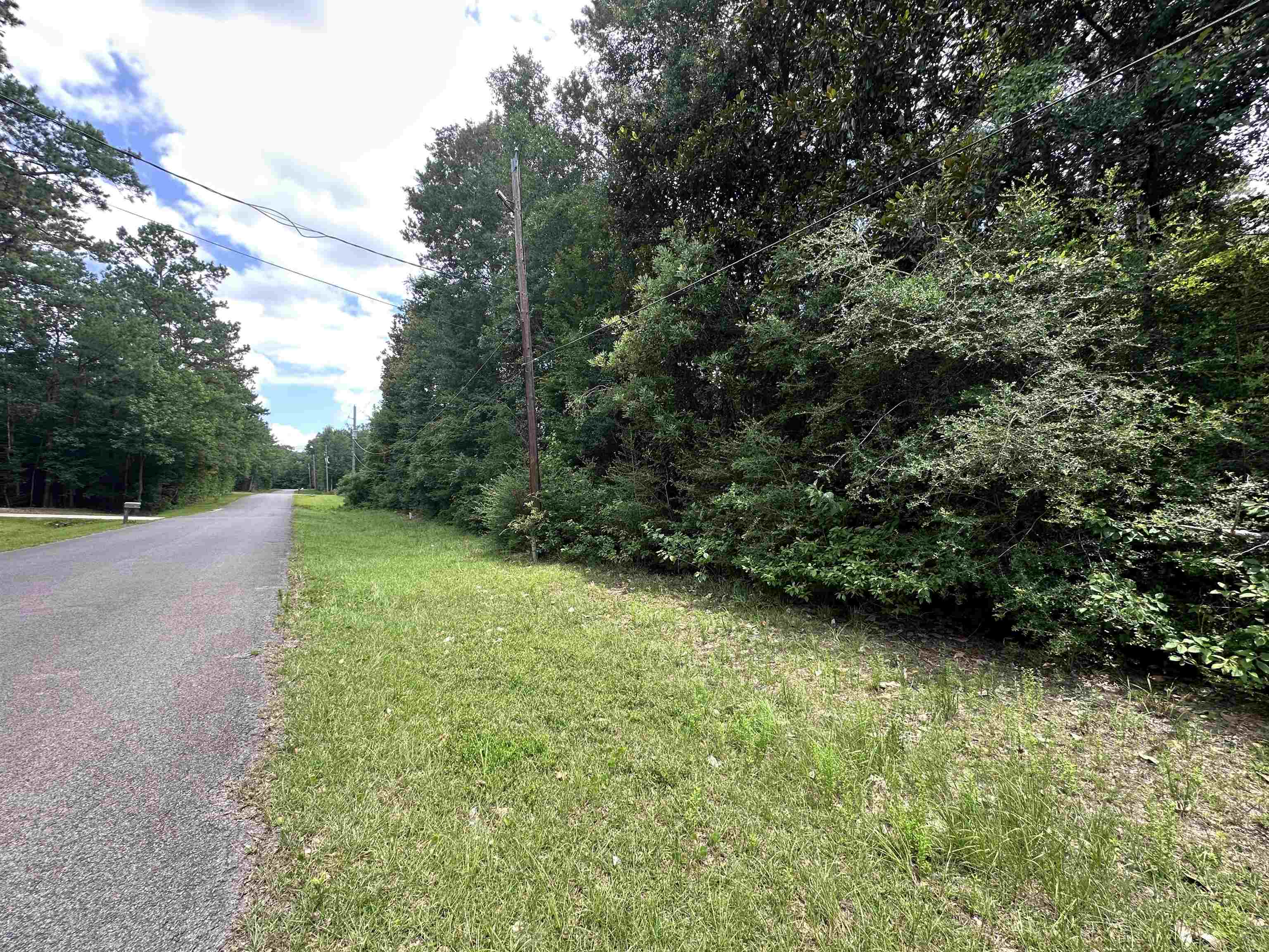 Lot 4 Fuller Road Silsbee, TX 77656 - Photo 3 of 6