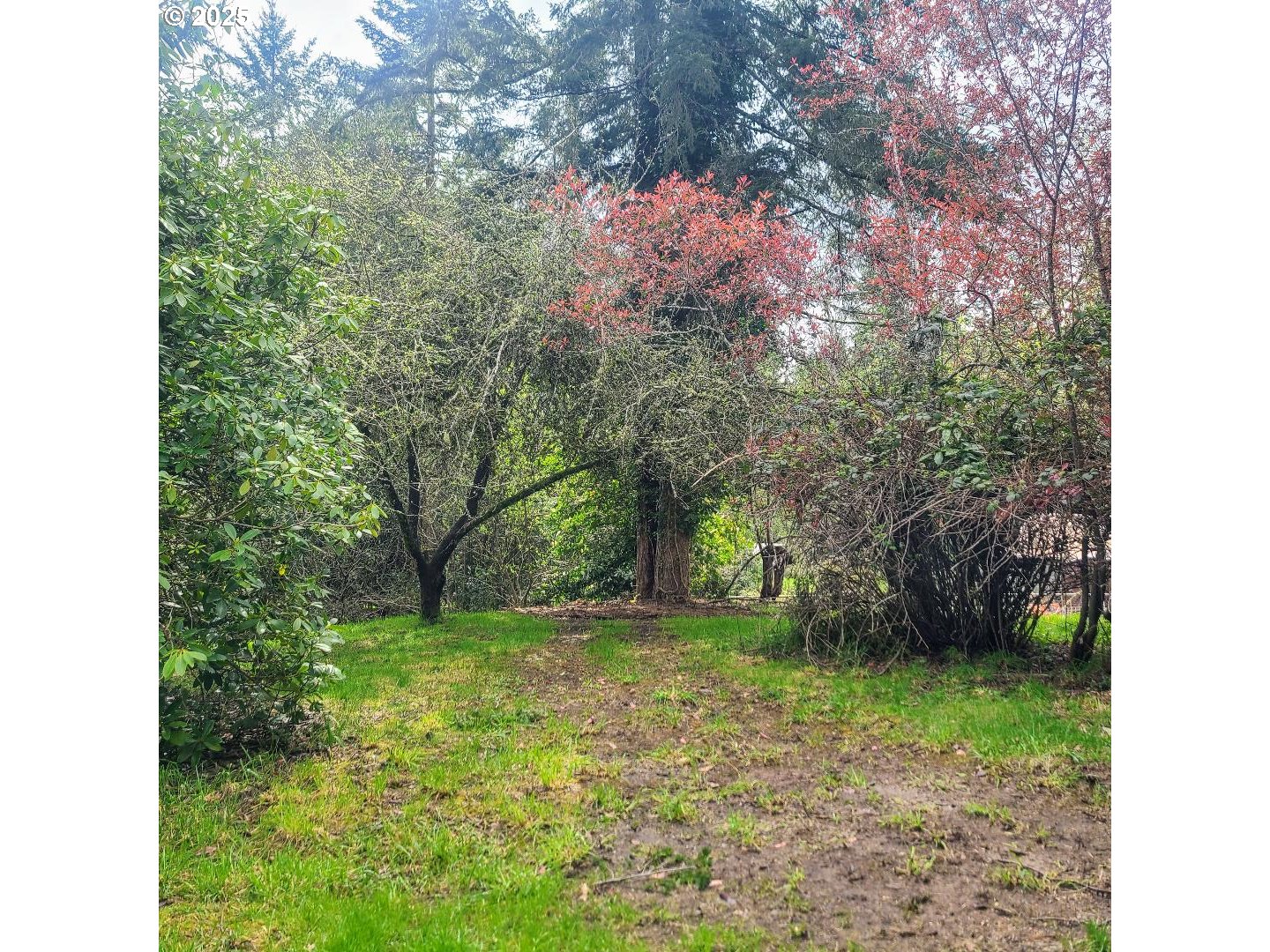57178 Gladewood Road Coquille, OR 97423 - Photo 27 of 29 Backyard