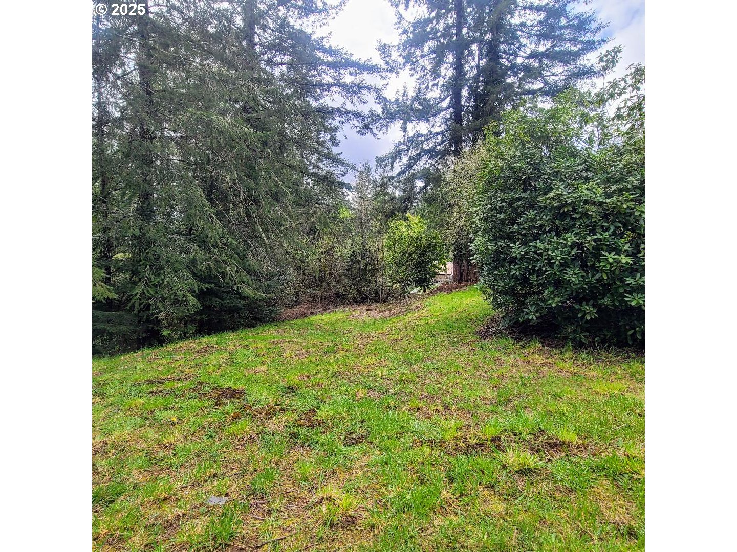 57178 Gladewood Road Coquille, OR 97423 - Photo 28 of 29 Backyard