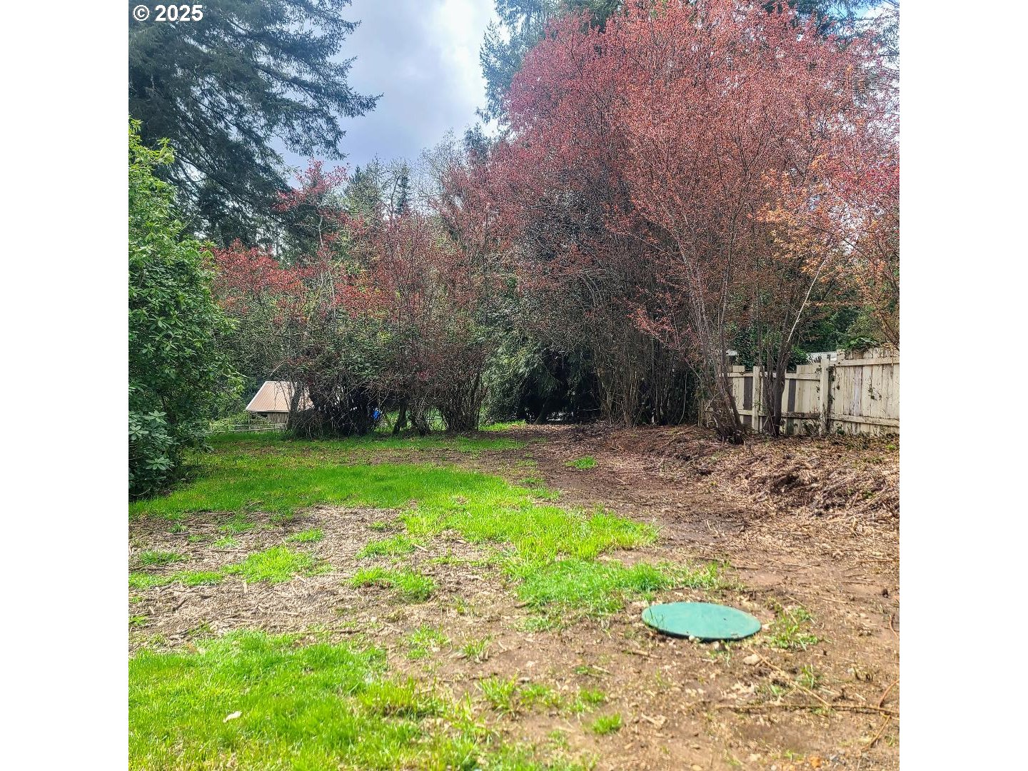 57178 Gladewood Road Coquille, OR 97423 - Photo 29 of 29 Backyard