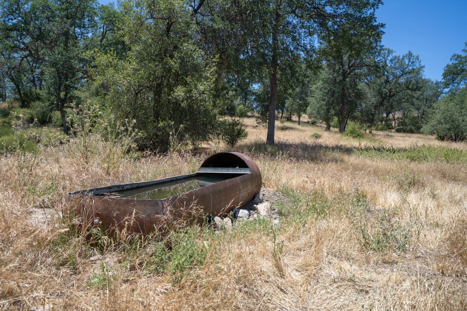 20505 Coalinga Road Paicines, CA 95043 - Photo 39 of 88