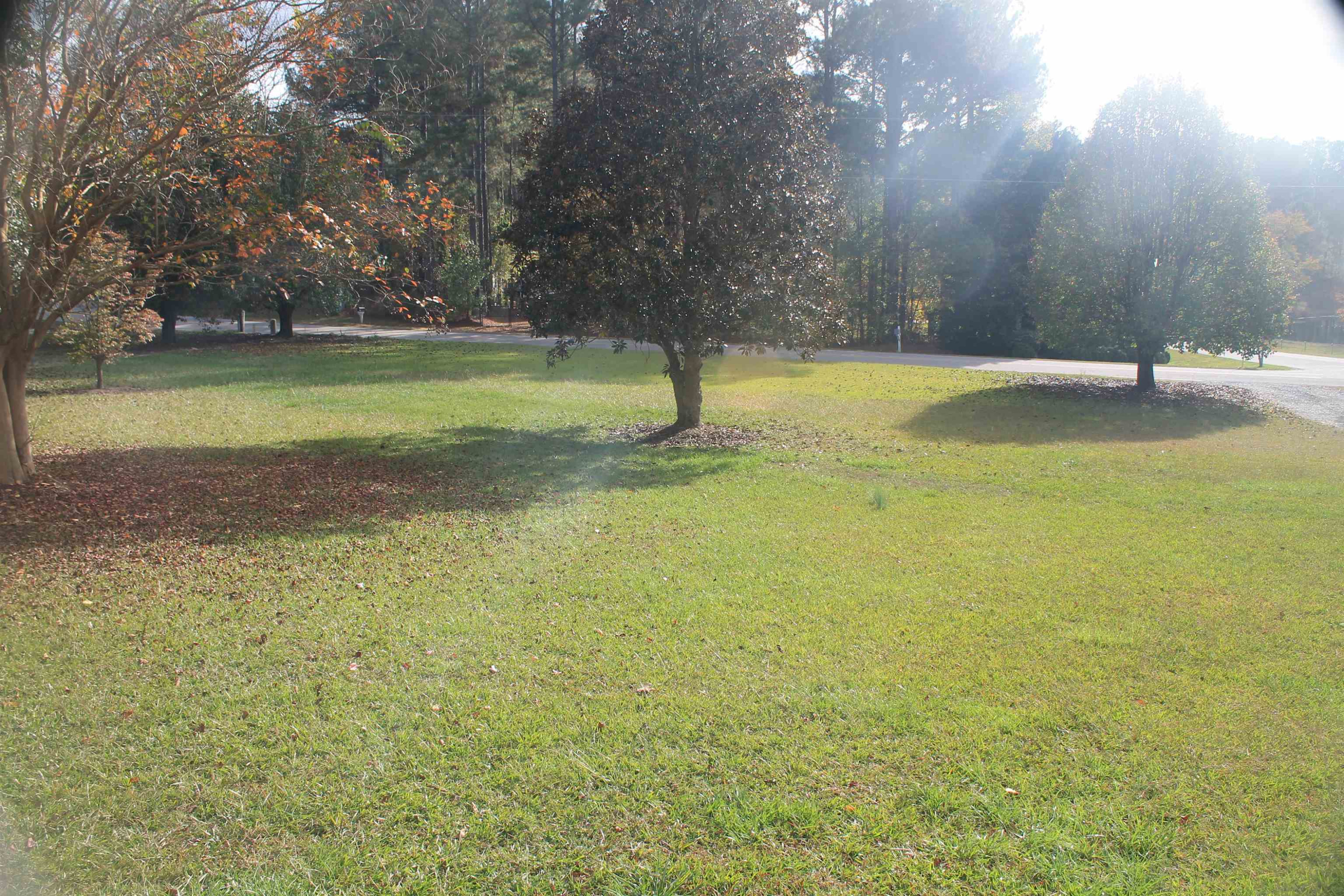 260 Raeford Road Angier, NC 27501 - Photo 4 of 29 Photo 4