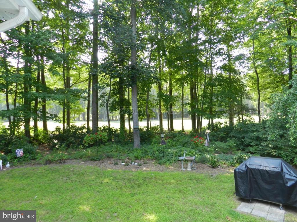 35 Drawbridge Road Berlin, MD 21811 - Photo 31 of 36