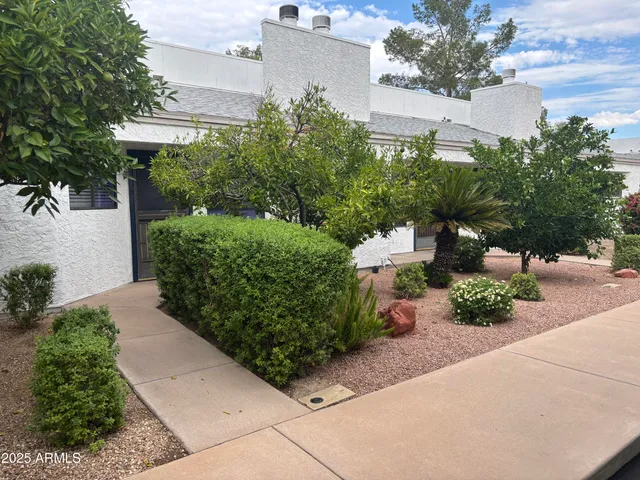 a view of a garden with potted plants