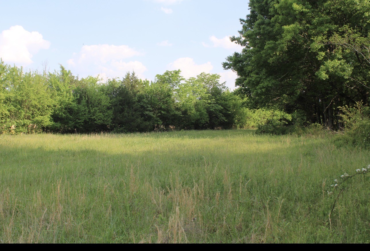 0 Midland Fosterville Road Bell Buckle, TN 37020 - Photo 13 of 15