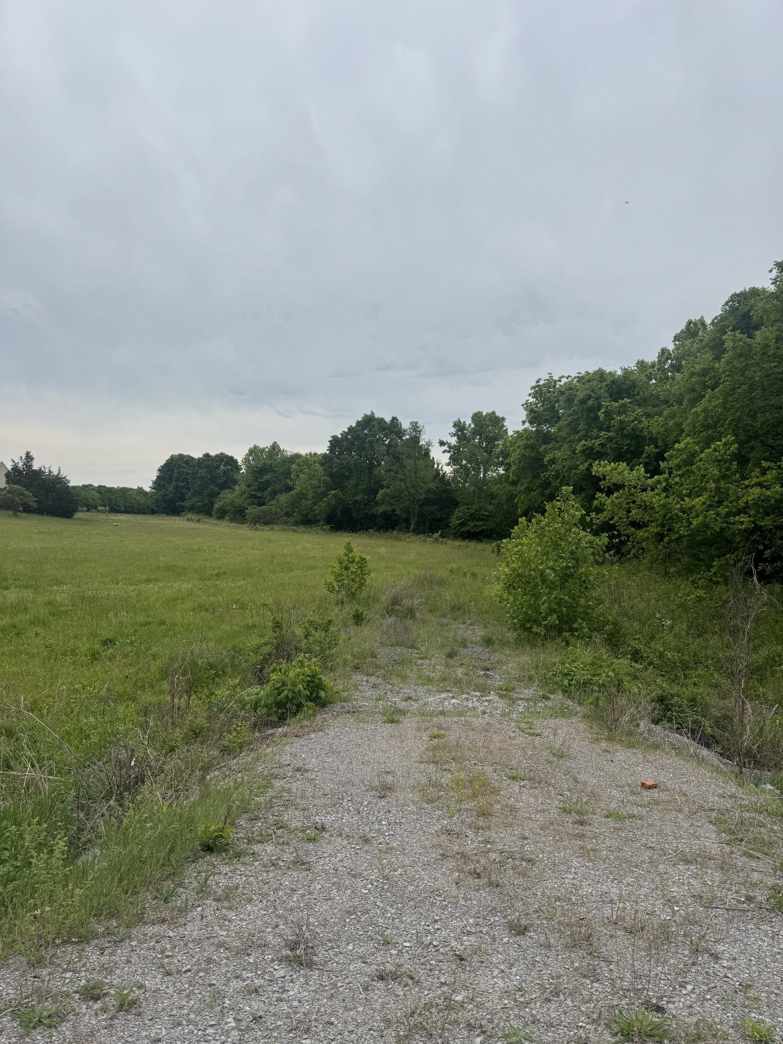 0 Midland Fosterville Road Bell Buckle, TN 37020 - Photo 3 of 15 a view of a lake with a city