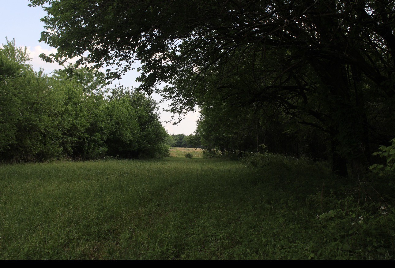 0 Midland Fosterville Road Bell Buckle, TN 37020 - Photo 6 of 15 a yard with trees in the background