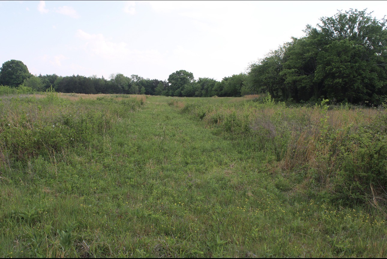 0 Midland Fosterville Road Bell Buckle, TN 37020 - Photo 7 of 15 a view of a lush green field