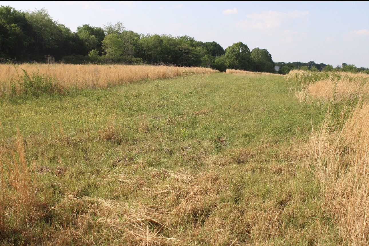 0 Midland Fosterville Road Bell Buckle, TN 37020 - Photo 10 of 15 a view of a lake from a yard