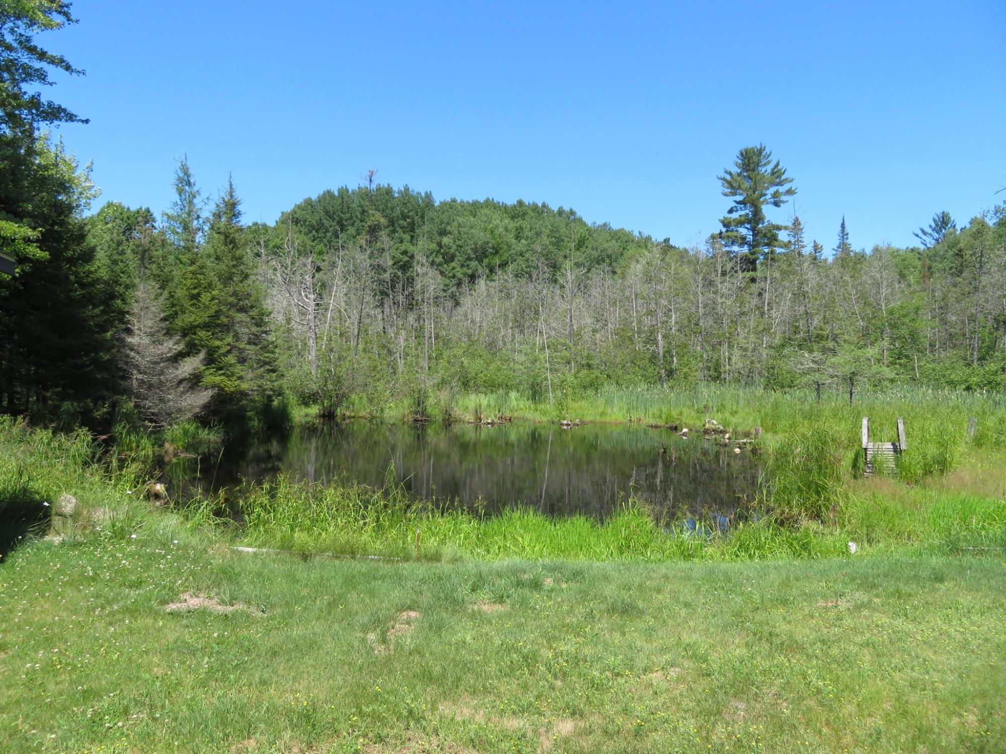 5046 Forest Lane Rhinelander, WI 54501 - Photo 24 of 40 Gallery Image 24