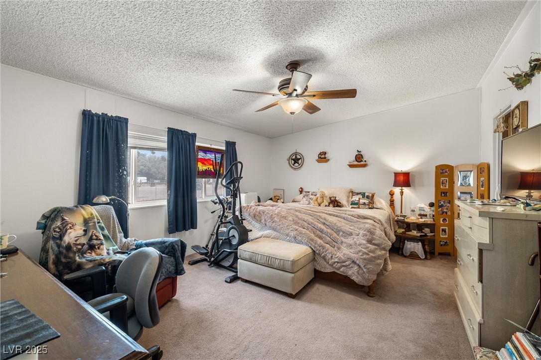 3199 Records Road Amargosa Valley, NV 89020 - Photo 15 of 36