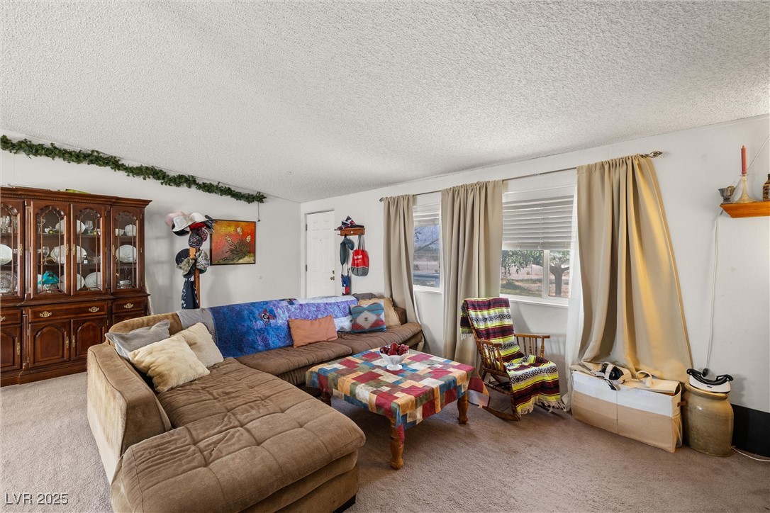 3199 Records Road Amargosa Valley, NV 89020 - Photo 10 of 36