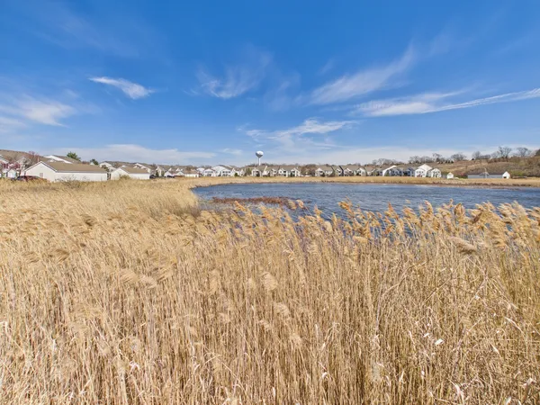 $1,900 | 917 Silverstone Drive, Unit 917, Carpentersville, IL 60110