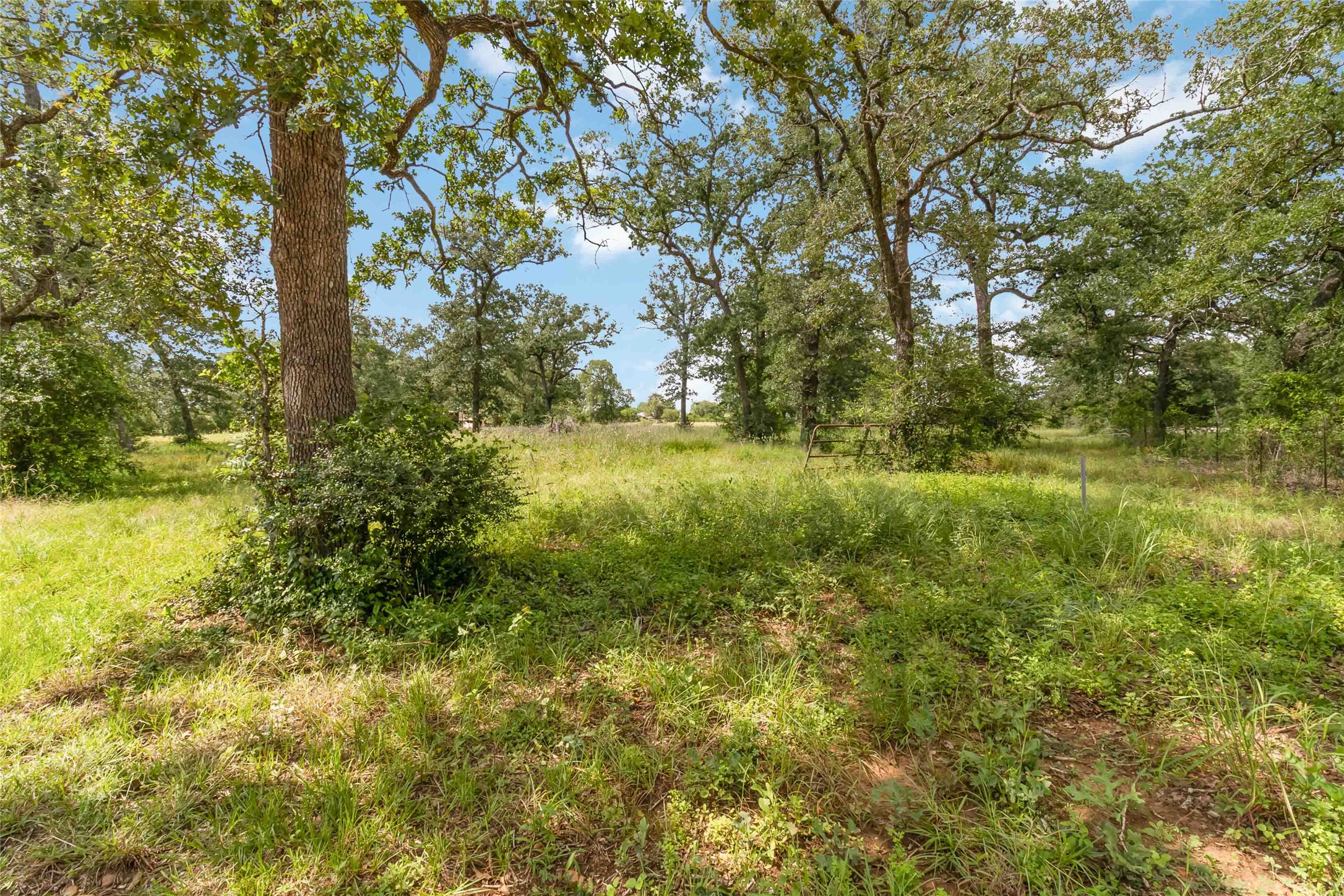 1208 Jeddo Road Rosanky, TX 78953 - Photo 40 of 40 Mature trees frame a verdant, naturally landscaped lot, offering a peaceful setting for a future home.